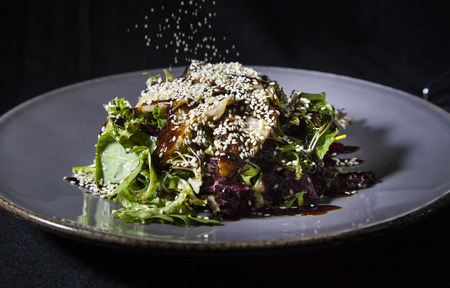 Kiev, Ukraine - February 26, 2018: Salad with eel and cheese.の写真素材