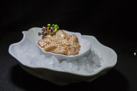 Tar-tar of salmon on ice.の写真素材