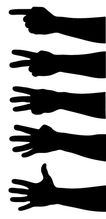 Hands counting. Hands silhouettes on whiteのイラスト素材
