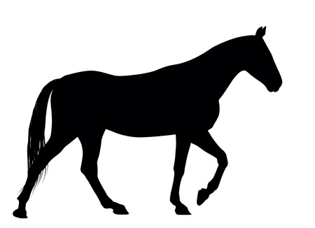 Running horses detailed silhouetteのイラスト素材