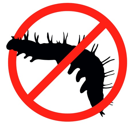 Worm vector silhouette isolated  Insect repellent emblemのイラスト素材