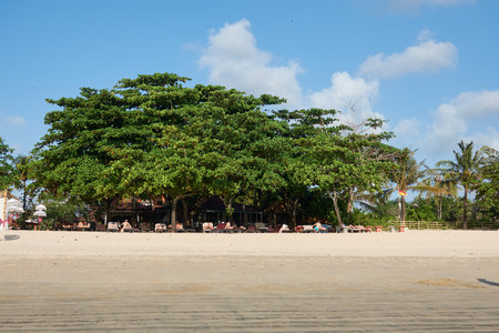 Paradise resting place on the beach under the trees.の写真素材