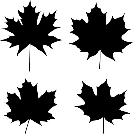 maple leaves silhouetteのイラスト素材