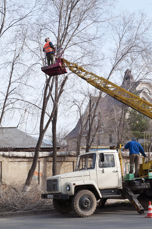 Trim tree branches on a city street. Orenburg. Russia. 14.04.2012のeditorial素材