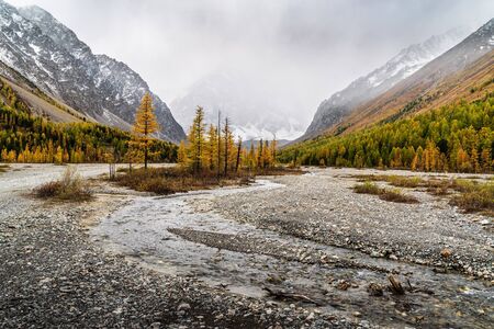 Autumn Valley of the Aktru River, at the foot of the glaciers of the North Chuysky Range. Kosh-Agachsky District, Altai Republic, Russiaの写真素材