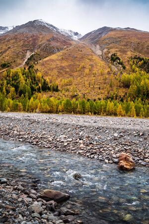 Autumn in the Aktru River Valley. Severo-Chuysky ridge, Altai Republic, Russiaの写真素材