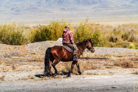 A local resident riding a horse in the autumn Chuy valley. Russia, Altai Republic