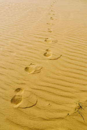 A patch of desert with footprints in the sand. The picture was taken in Russia, in the Orenburg...