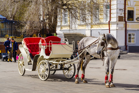 Orenburg, Sovetskaya street, Russia - May, 1, 2021: Carriage with a horse on a city street in springのeditorial素材