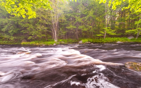 Wild river in forest (Kejimkujik National Park , Nova Scotia, Canada)