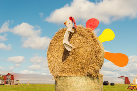 Hay Bale Figure (Prince Edward Island, Canada)の写真素材