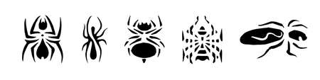 A set of painted spiders in the form of a tattoo. Crawling insects. Ornament or decor.の写真素材