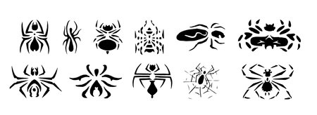 A set of painted spiders in the form of a tattoo. Crawling insects. Ornament or decor.の写真素材