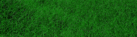 Footage of grass or lawn simulation. Create a collage.の写真素材