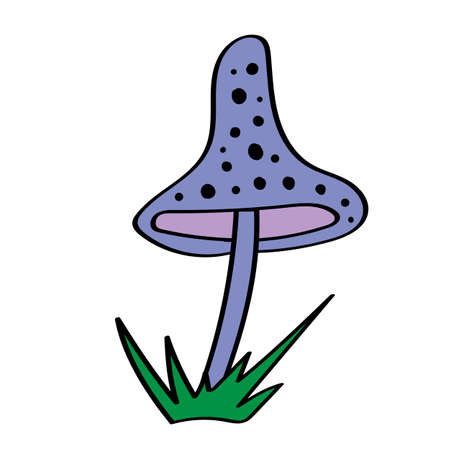Color drawing of a mushroom. Children's illustration.の写真素材