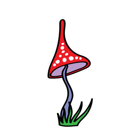 Color drawing of a mushroom. Children's illustration.の写真素材