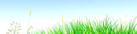 Spring grass and blue sky. Nature. 3D rendering.の写真素材
