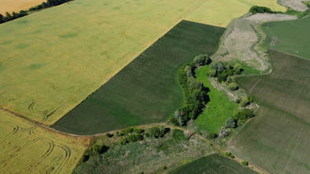 A dried up river near a field in summer. Trees and thickets. nature and agriculture. Aero...
