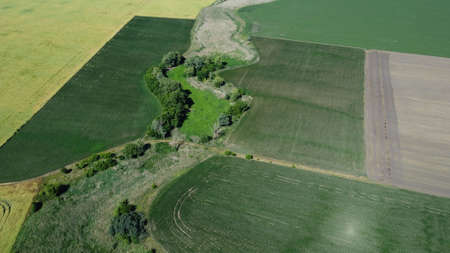 A dried up river near a field in summer. Trees and thickets. nature and agriculture. Aero photography.の写真素材
