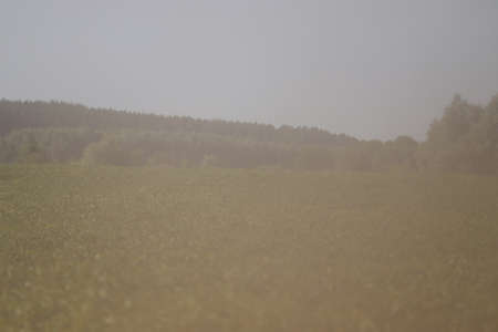 Dust along a dirt road near a field in summer.の写真素材