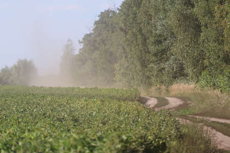 Dust along a dirt road near a field in summer.の写真素材
