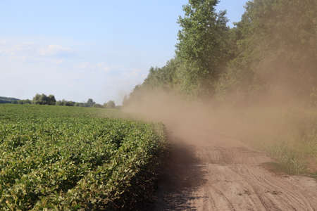 Dust along a dirt road near a field in summer.の写真素材