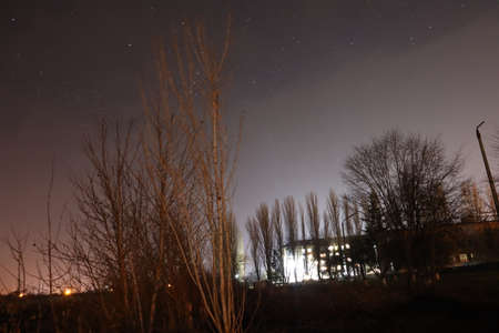 Starry sky through the trees. Astronomy.の写真素材