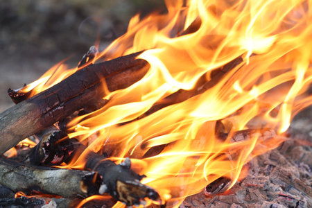 Bonfire in the forest close-up. Outdoor recreation, camping and tourism.の写真素材
