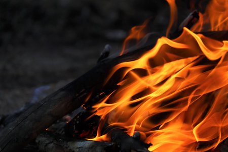 Bonfire in the forest close-up. Outdoor recreation, camping and tourism.の写真素材