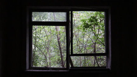 Old broken wooden window in an abandoned building.の写真素材