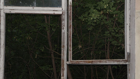 Old broken wooden window in an abandoned building.の写真素材