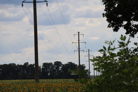 Power lines in the Ukrainian field in the summer.の写真素材