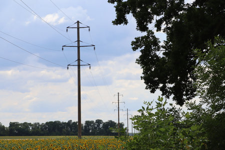 Power lines in the Ukrainian field in the summer.の写真素材