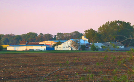 Farm near a field in early spring. Cattle breeding.の写真素材