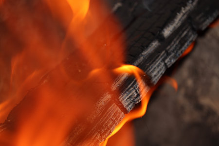 Charred logs in a fire close-up. Fire. The heat from the fireplace.の写真素材