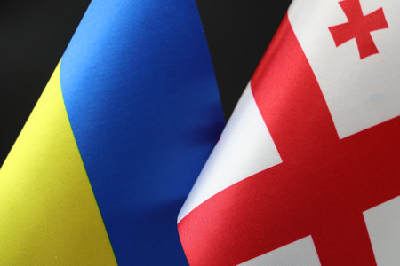 The Ukrainian and Georgian flags displayed together. A sign of partnership.