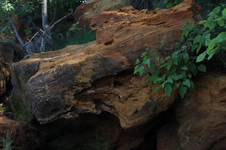 Large eroded rocks with green foliage growing around them.の写真素材