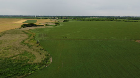 Fields, sky and landscape from above.の写真素材