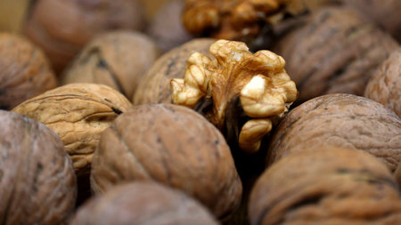 A detailed close-up shot captures a shelled walnut kernel nestled amongst numerous whole walnuts....