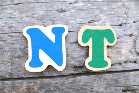 A close-up view of a blue wooden letter N and a green wooden letter T resting on a rustic wooden surface, with a small ant visible between them. This image is ideal for educational materials, children's content, or designs related to language and learning.の写真素材
