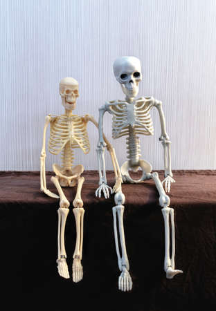 Two skeletons in love are sittingの写真素材