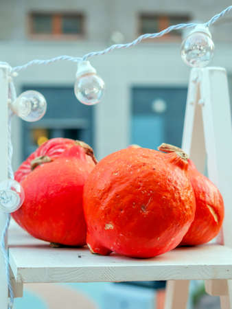 Pumpkins are on a shelf at the farmers' market. Halloween sale. Close-up.