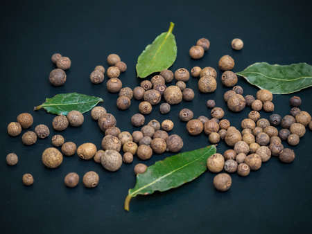 Dried berries of the allspice on the dark background. Close-up.の写真素材