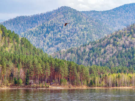 View to steep wooded bank of the river.の写真素材
