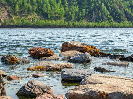 Stones, partially covered with water and overgrown with algae, near the riverbank.の写真素材