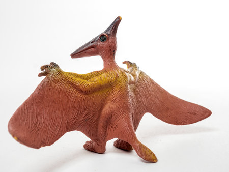 Model of a Pterodactylus. Dinosaur isolated on the white background. close-upの写真素材