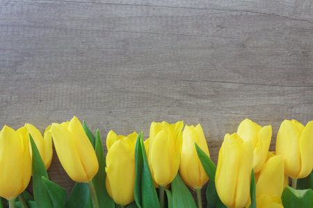 Yellow tulips on wooden background. A row of bright yellow tulips on a wooden table background, spring flowers, background for a postcard.の写真素材