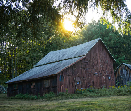 cabinの写真素材