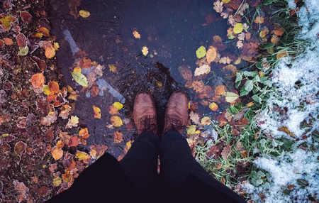 Autumn and winter conceptの写真素材