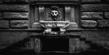 Black and white photo of a Florence lion fountain.のeditorial素材